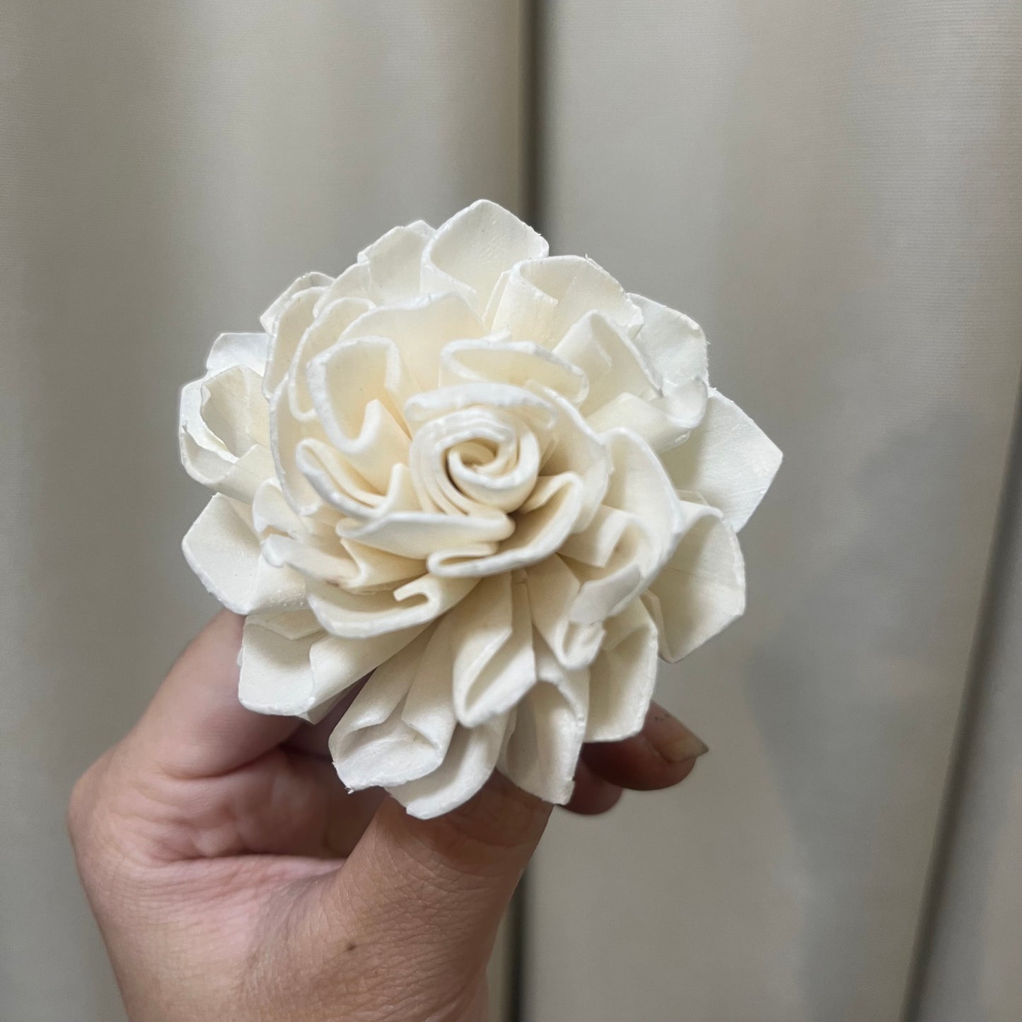✿ 台灣現貨 ✿ S-V 索拉花 6CM 通草花 擴香花 大麗花