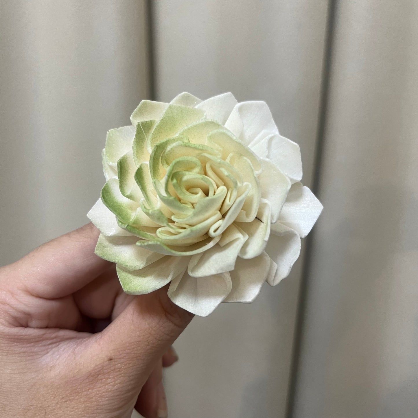 ✿ 台灣現貨 ✿ S-V 索拉花 6CM 通草花 擴香花 大麗花