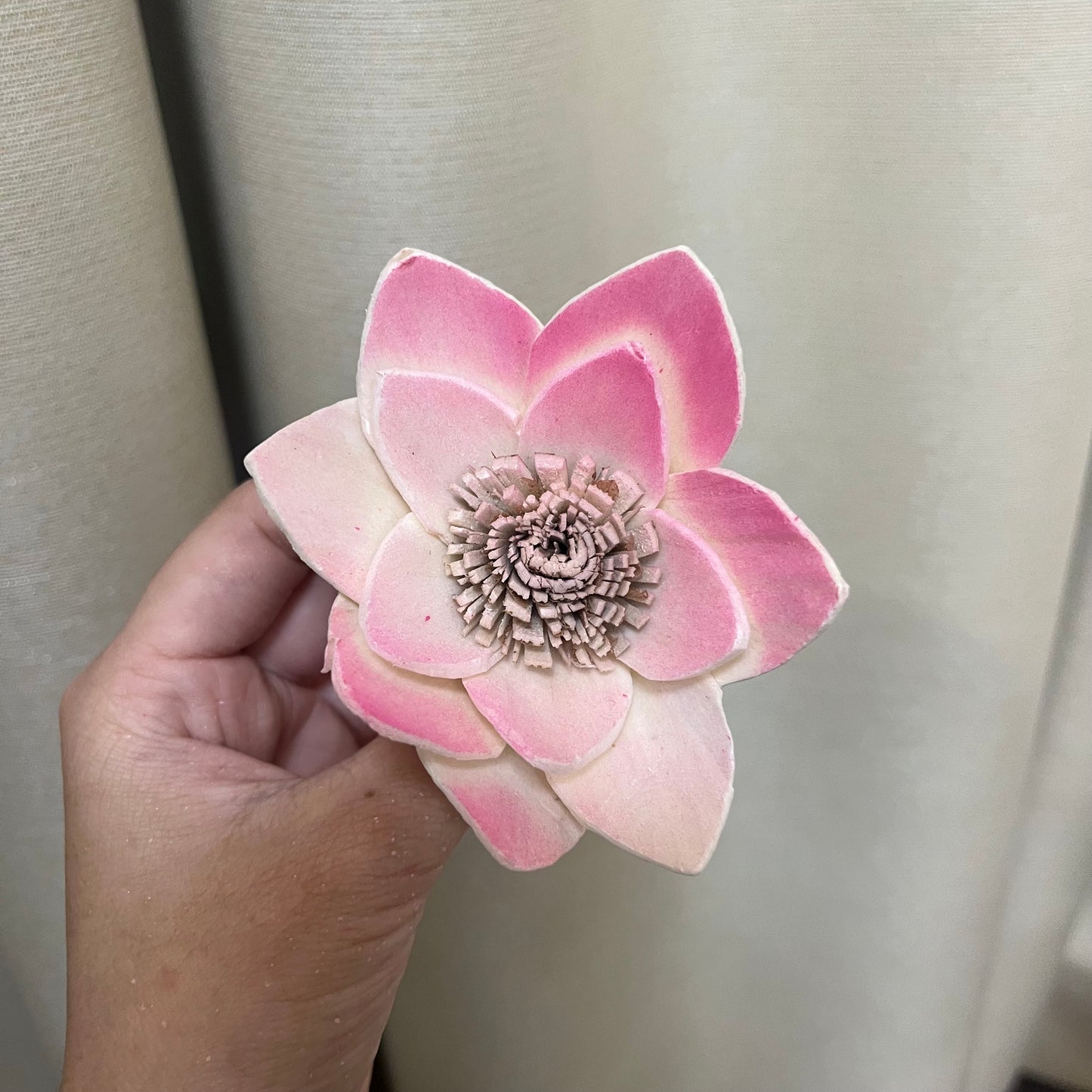 ✿ 台灣現貨 ✿ S-P索拉花 8CM 通草花 擴香花 白睡蓮 蓮花