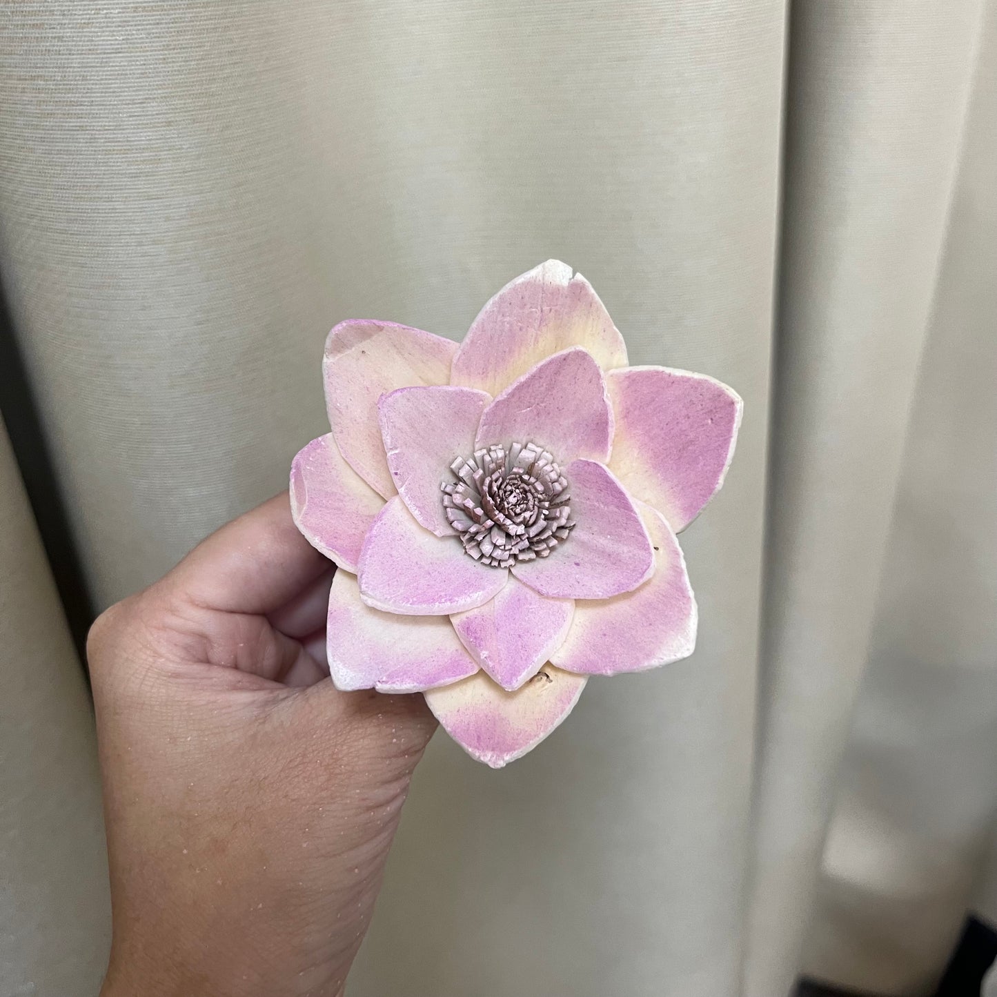 ✿ 台灣現貨 ✿ S-P索拉花 8CM 通草花 擴香花 白睡蓮 蓮花