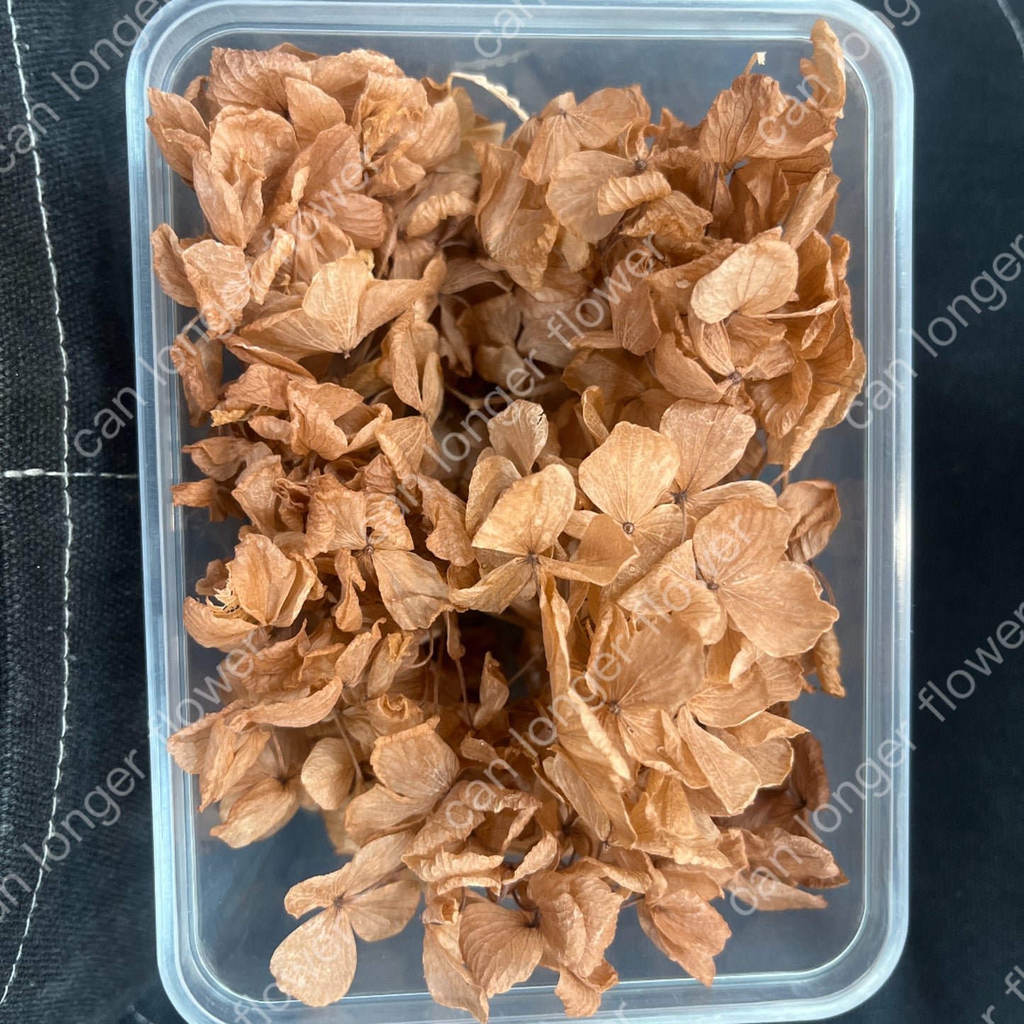 ✿ 台灣現貨 ✿ PF005BS大葉繡球(10克) 盒裝 紫陽花 夢幻漸變繡球 永生花 小份量 DIY花材 花藝
