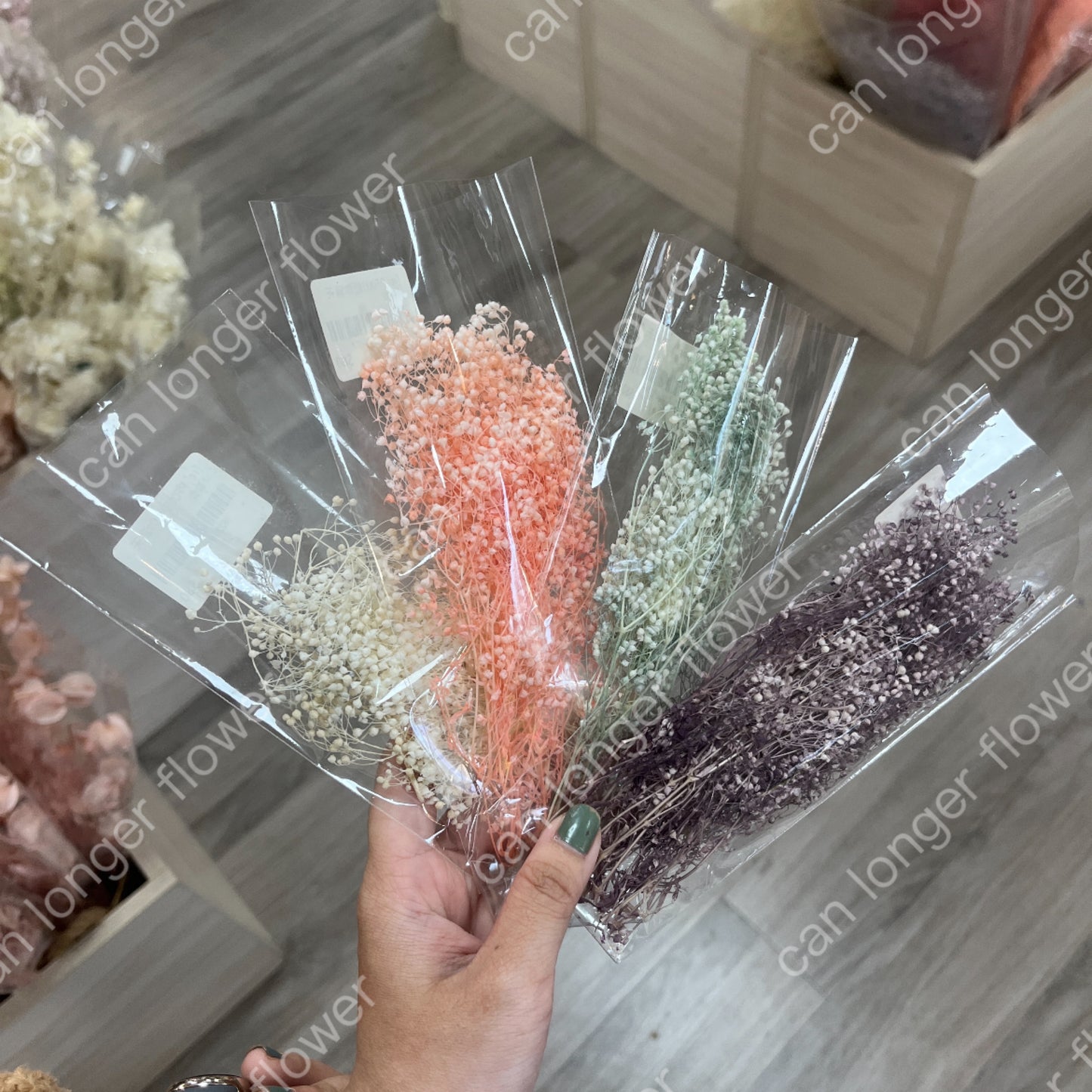 ✿ 台灣現貨 ✿ Pf003S 迷你滿天星