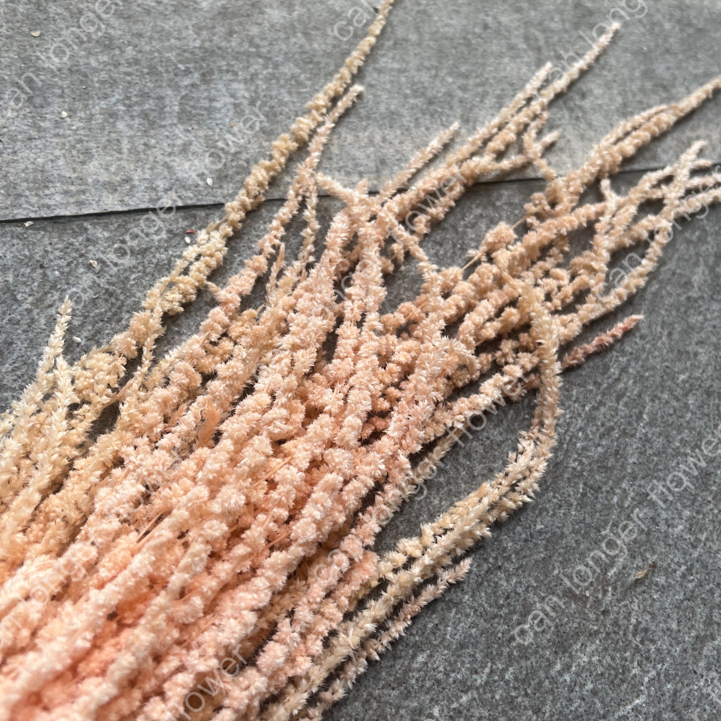 ✿ 台灣現貨 ✿ PA063 柔麗絲