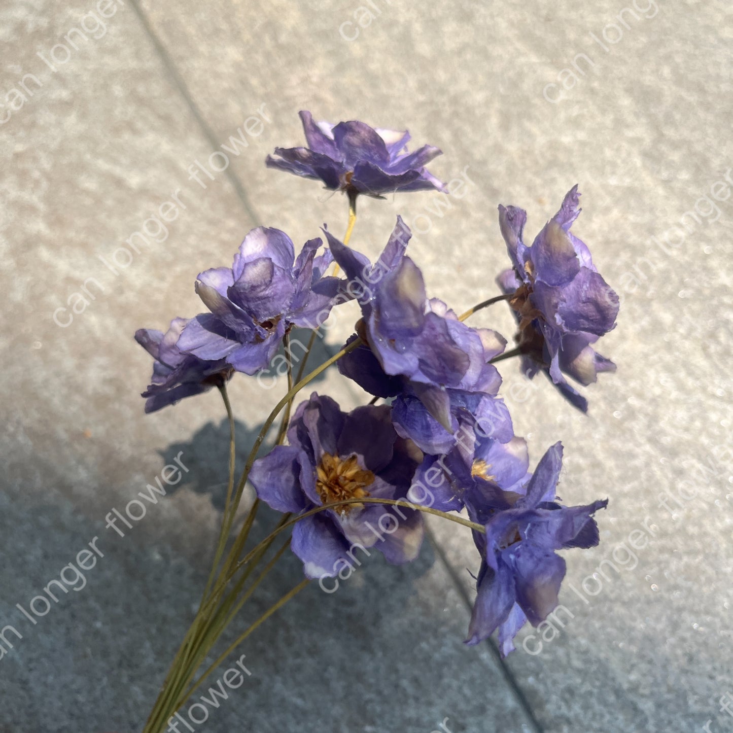 ✿ 台灣現貨 ✿ SH56 銀連花 原裝 10支裝 手工花