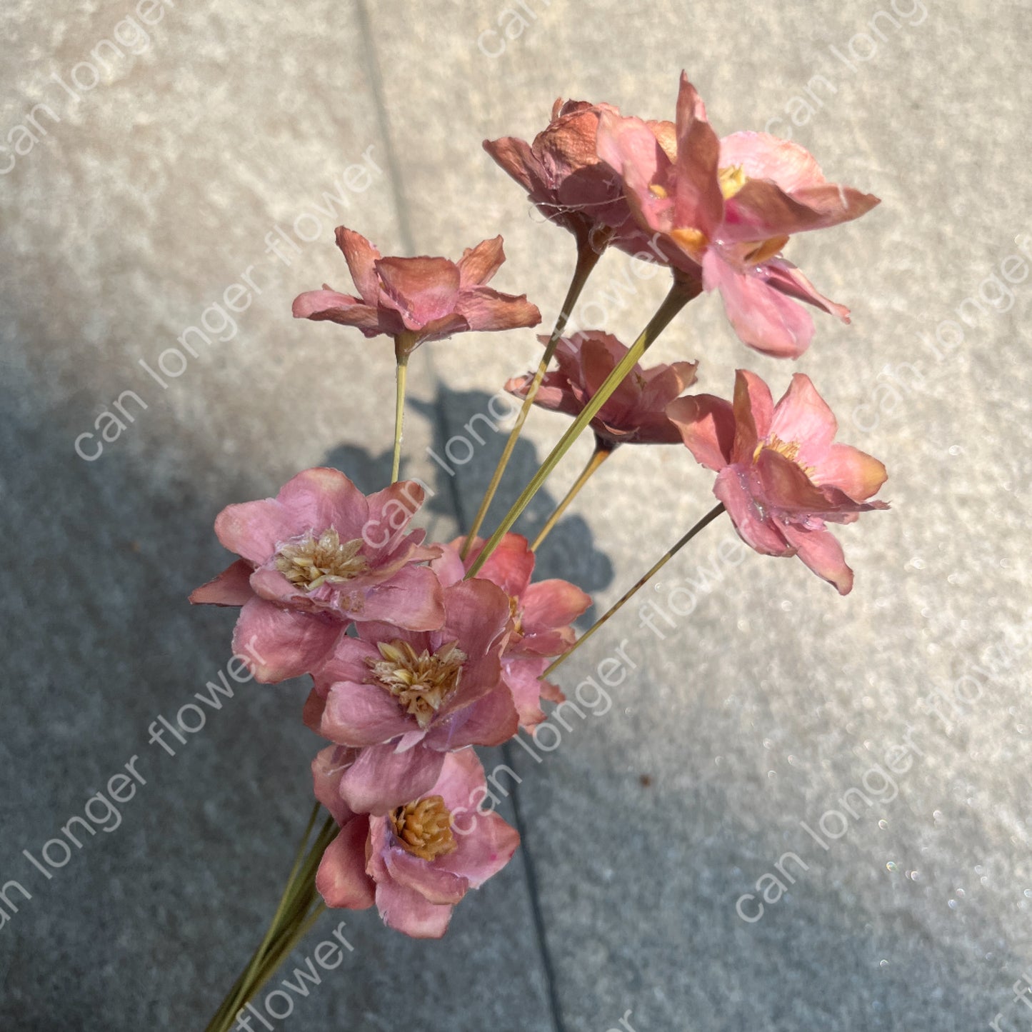 ✿ 台灣現貨 ✿ SH56 銀連花 原裝 10支裝 手工花