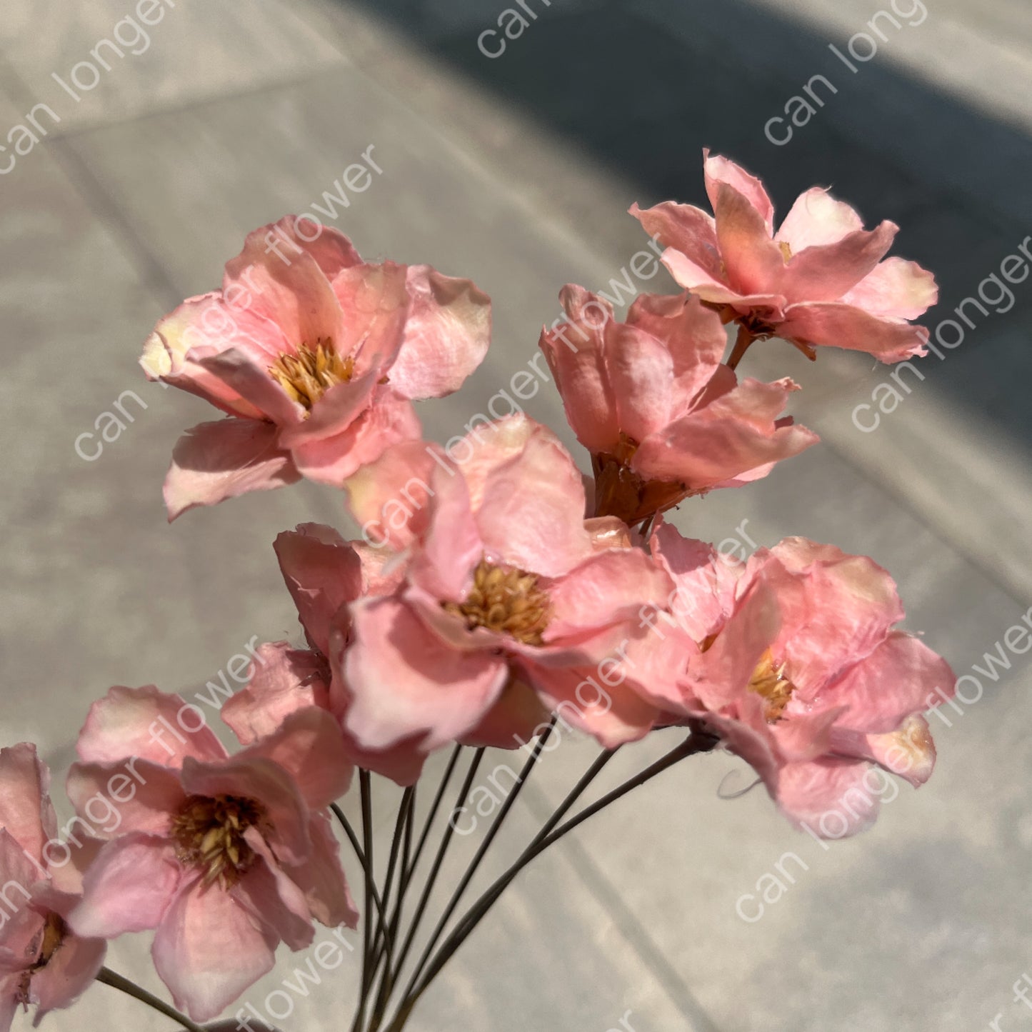 ✿ 台灣現貨 ✿ SH56 銀連花 原裝 10支裝 手工花