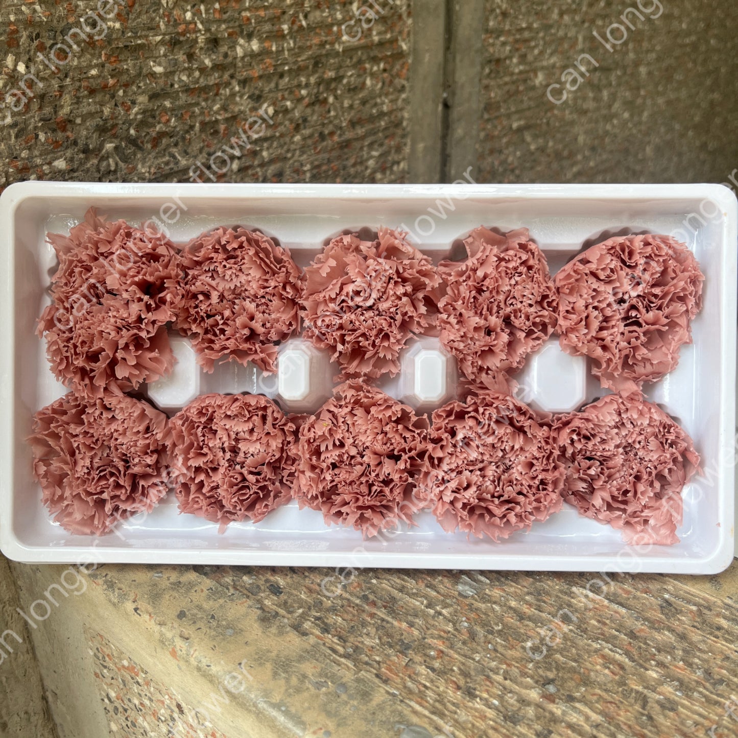 ✿ 台灣現貨 ✿ 花大伯 K10 永生康乃馨 3~4cm A級 單朵裝