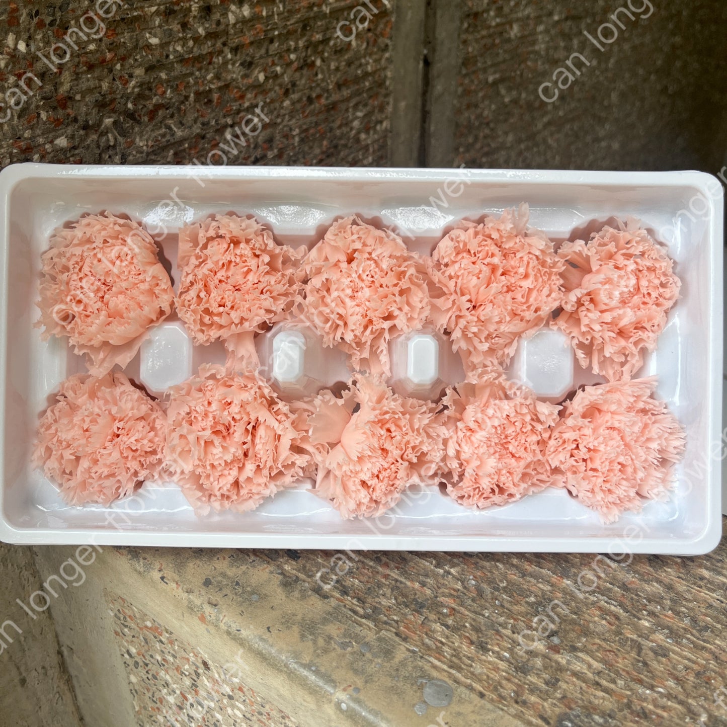 ✿ 台灣現貨 ✿ 花大伯 K10 永生康乃馨 3~4cm A級 單朵裝