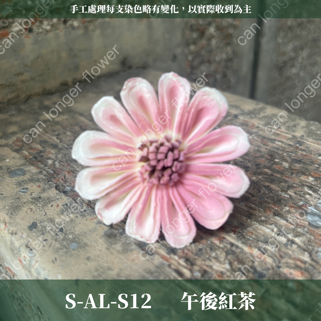 ✿ 台灣現貨 ✿ S-AL 索拉花 4CM 通草花 擴香花 太陽菊 非洲太陽