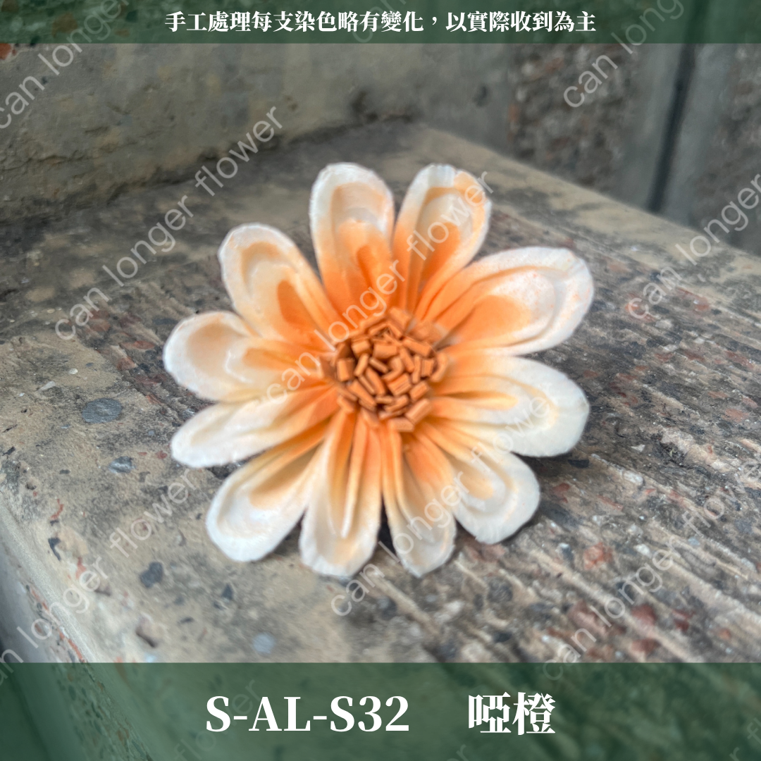 ✿ 台灣現貨 ✿ S-AL 索拉花 4CM 通草花 擴香花 太陽菊 非洲太陽
