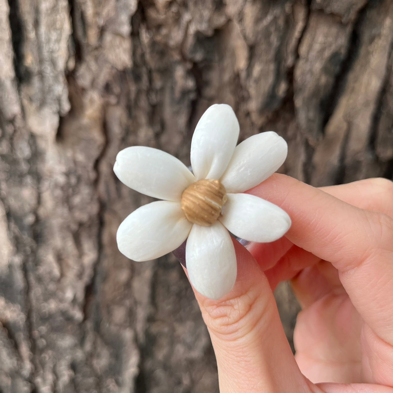 ✿ 台灣現貨 ✿ S-W 索拉花 4CM 通草花 擴香花 小雛菊