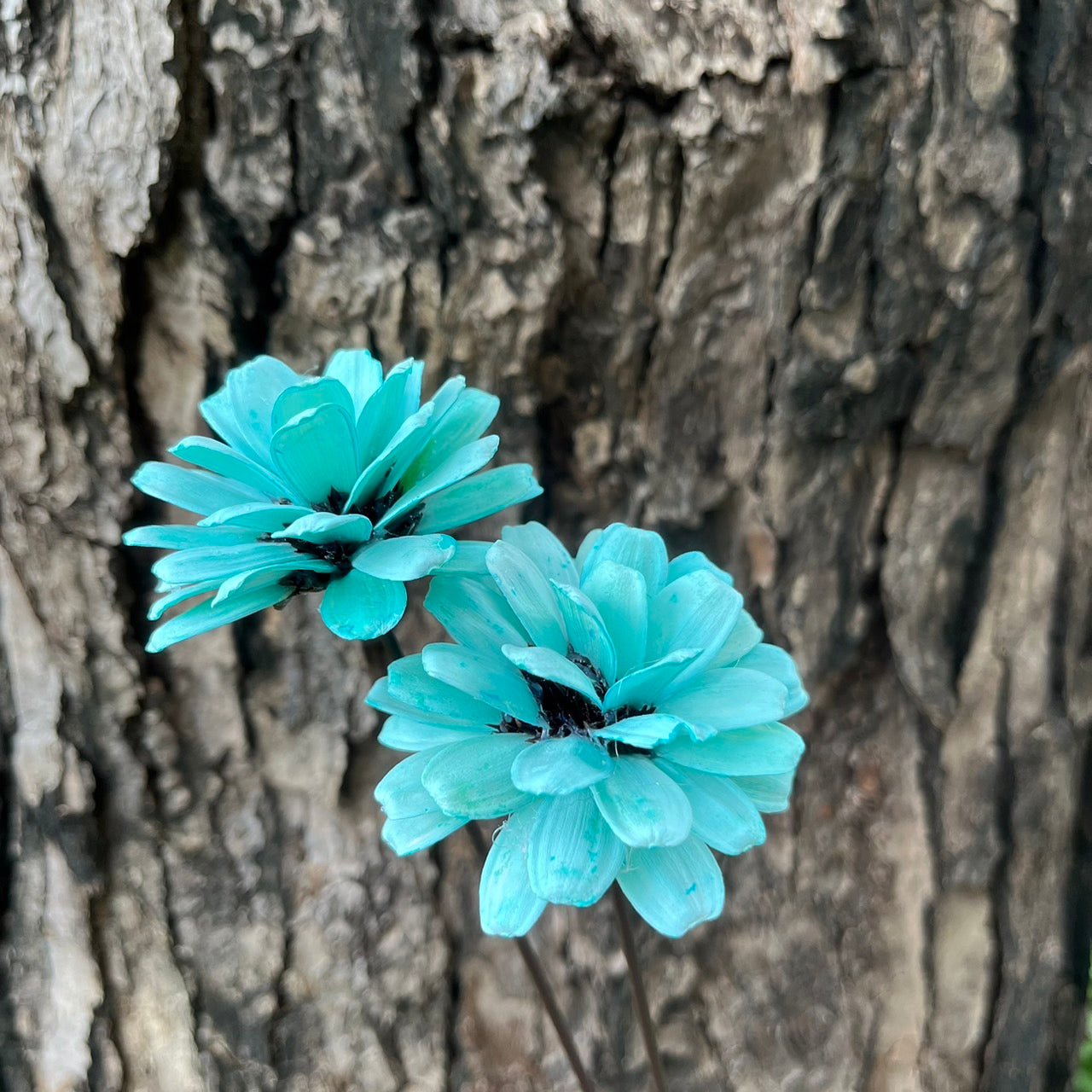 ✿ 台灣現貨 ✿ SH53 瓜子花(球) 單朵 小份量