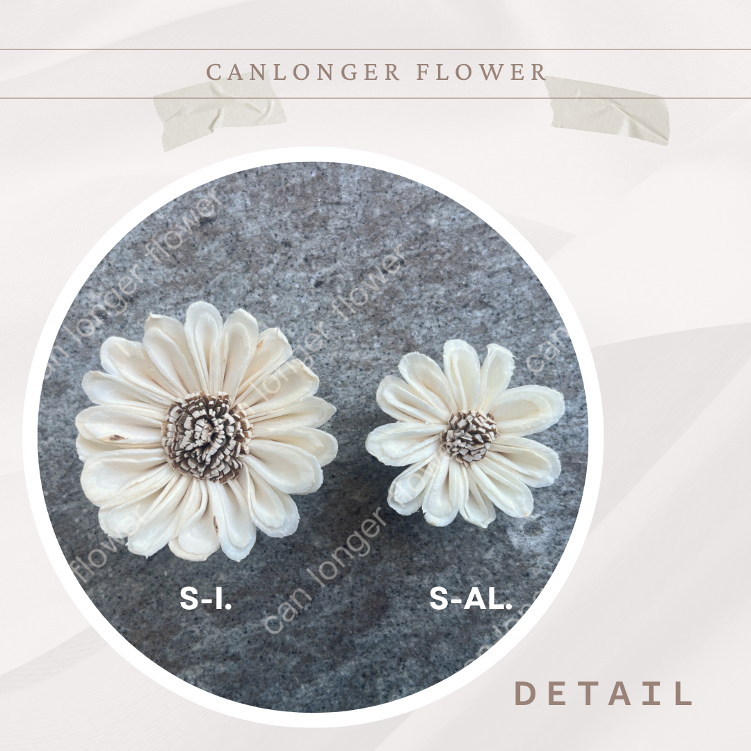 ✿ 台灣現貨 ✿ S-AL 索拉花 4CM 通草花 擴香花 太陽菊 非洲太陽