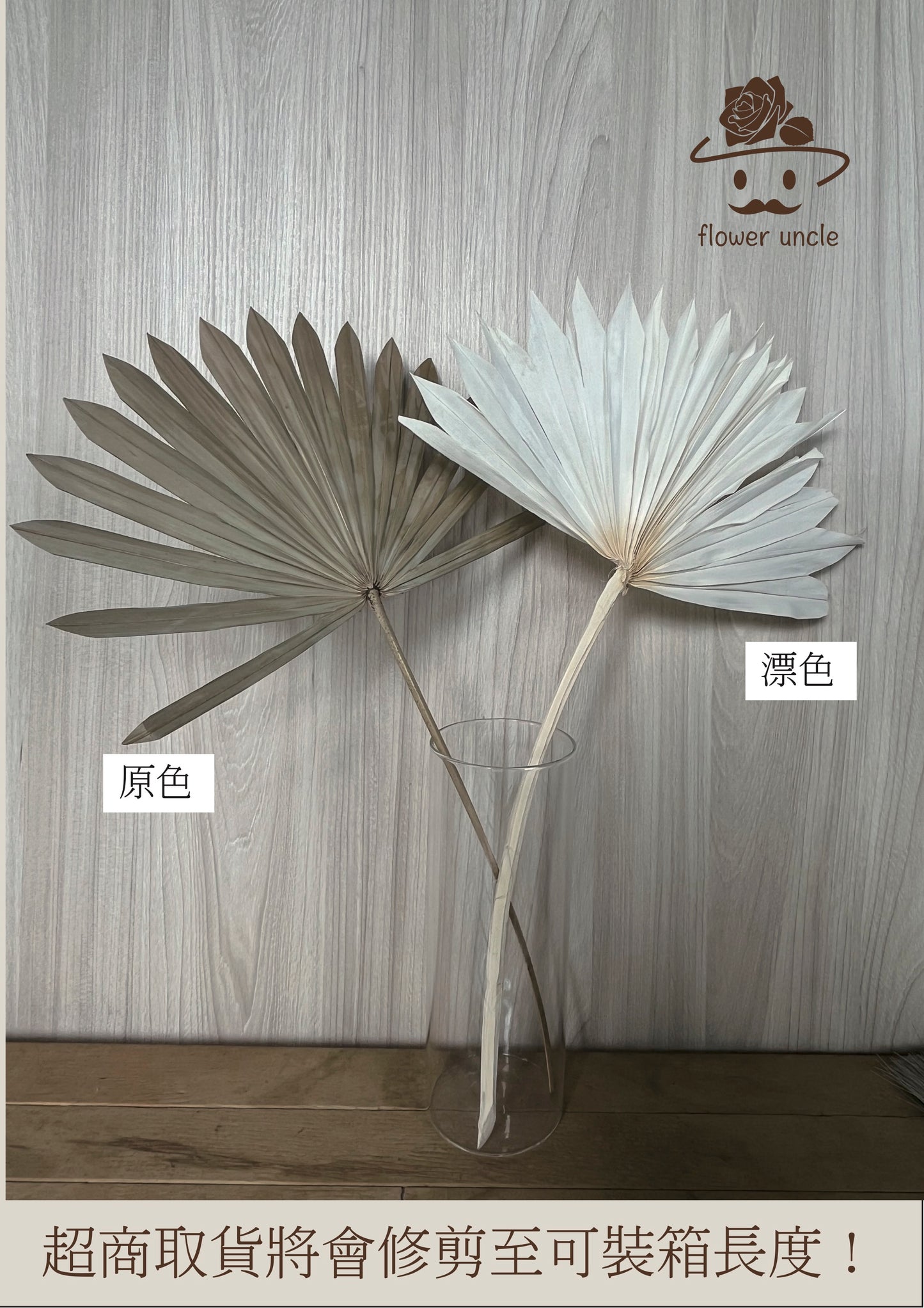 【台灣現貨】DL026觀音扇 蒲葵葉 蒲葵扇 濟公扇 蒲扇葉 大蒲葵葉 棕櫚葉 乾燥花 婚禮花藝 商場櫥窗 插花 花藝 裝飾