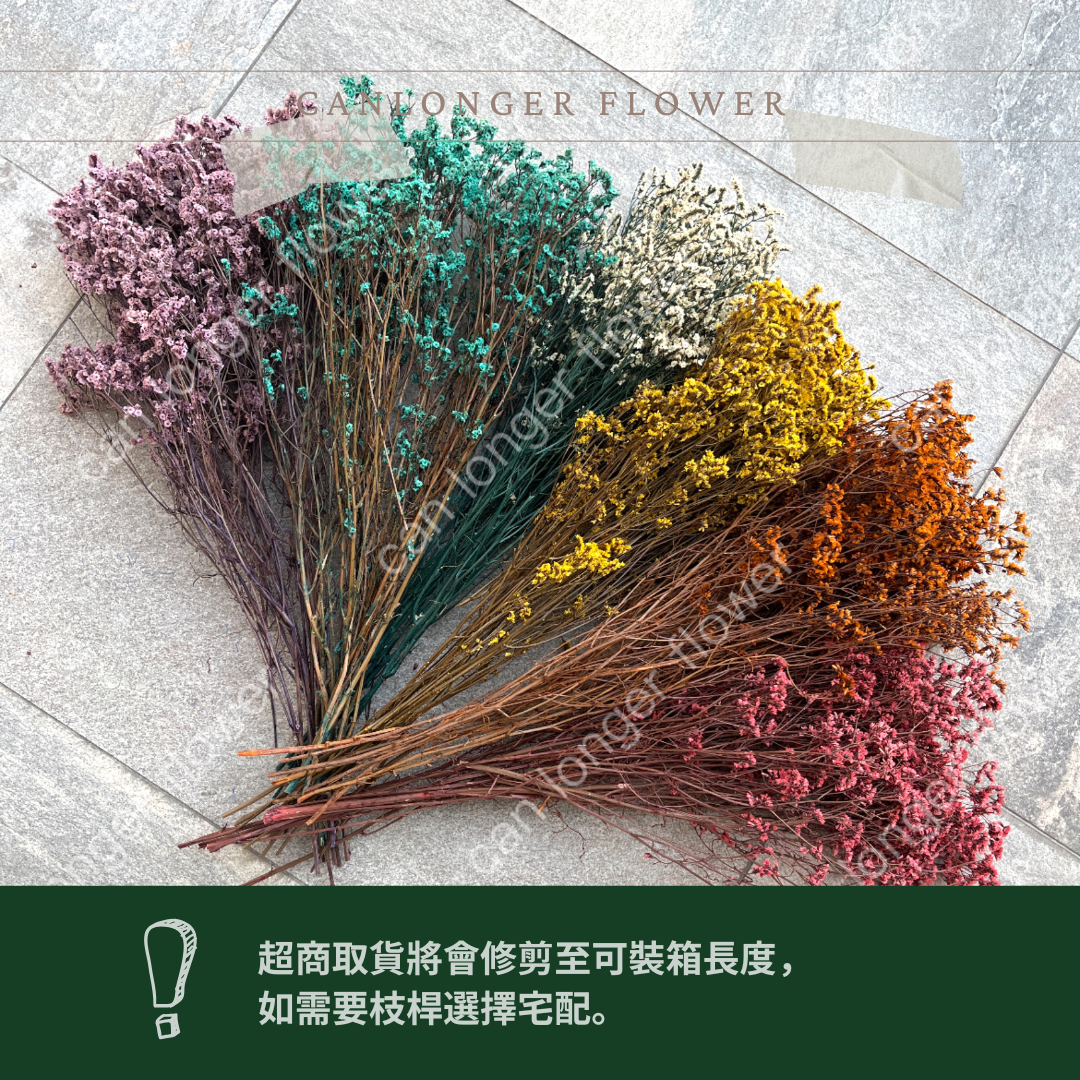 PF008水晶花 原裝 台灣現貨