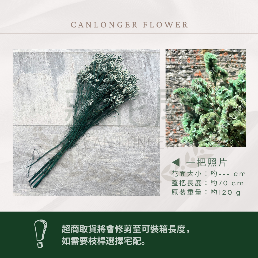 PF008水晶花 原裝 台灣現貨