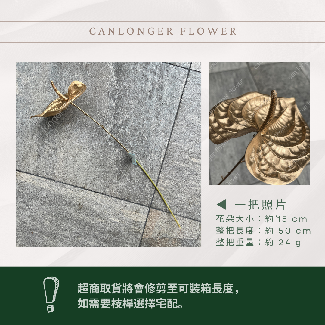 AF008 仿真火鶴 台灣現貨