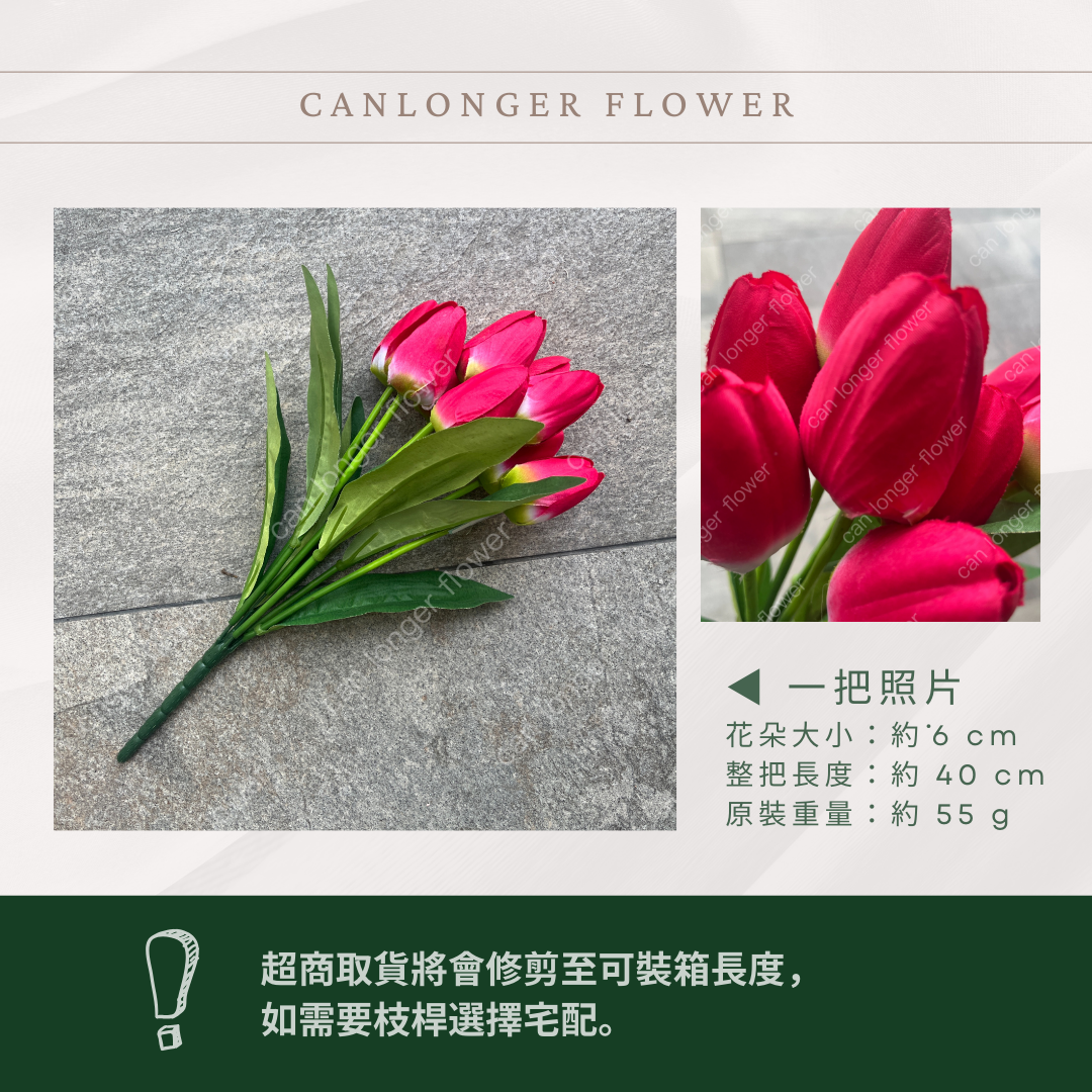 AF009 仿真鬱金香 9頭 絹布 台灣現貨