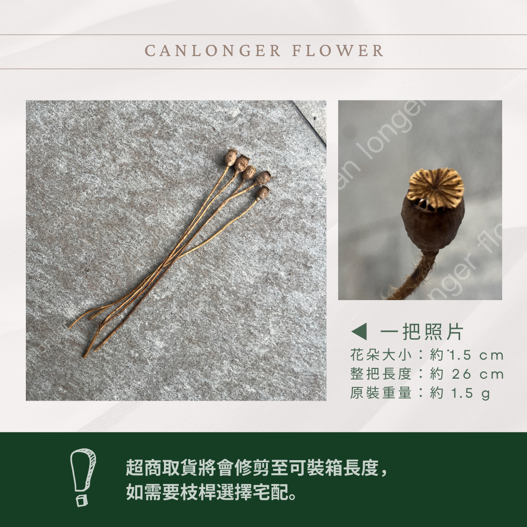 DA034s 虞美人 小包 台灣現貨