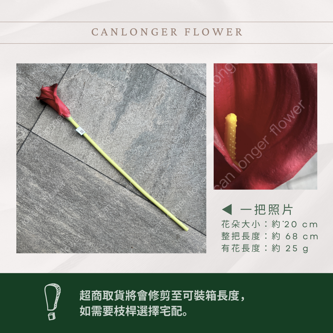 AF030 仿真海芋(單支) 仿真花
