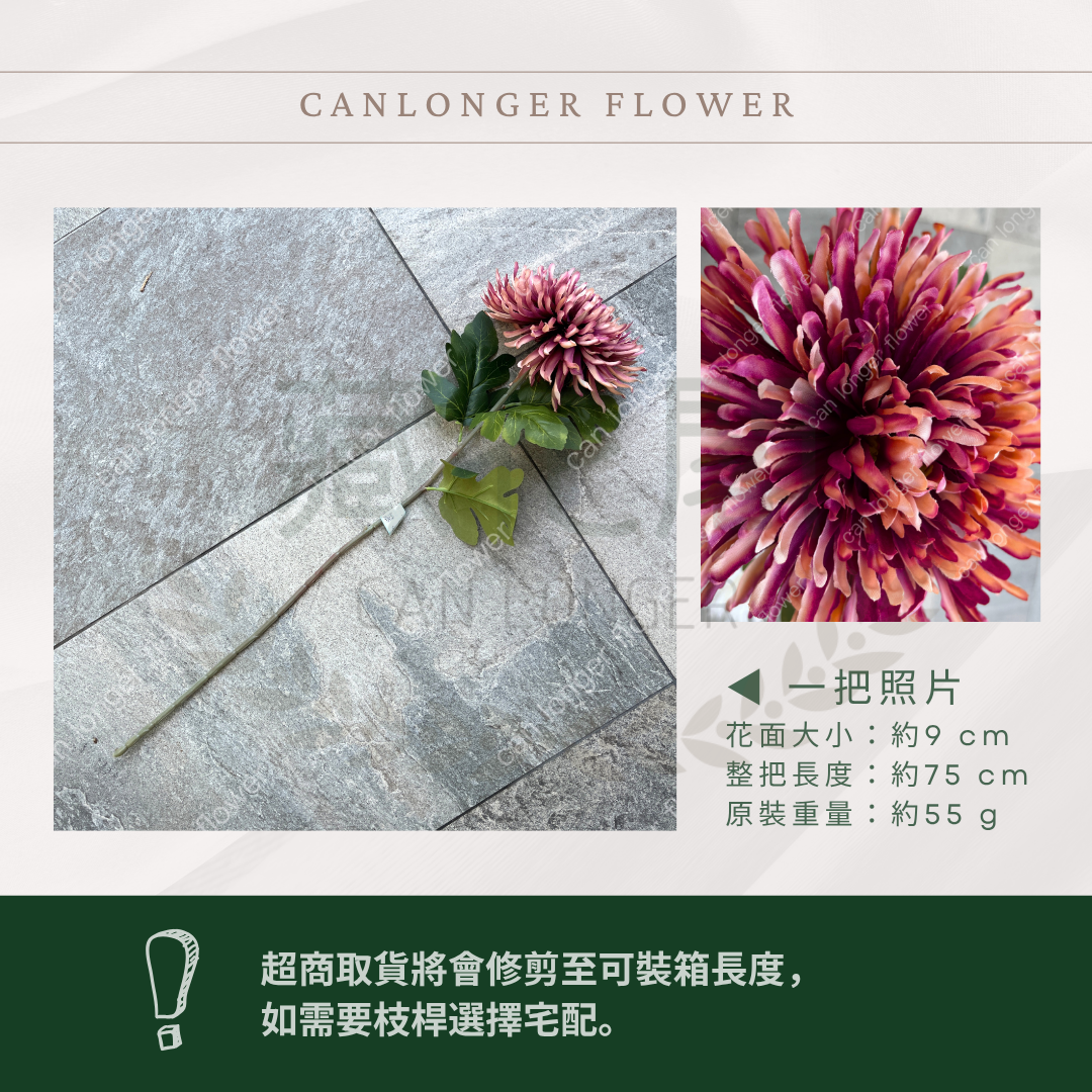 AF053 仿真龍爪菊(1頭) 仿真花 台灣現貨