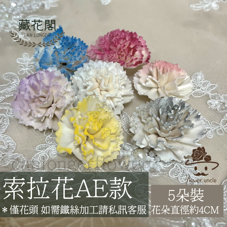 ✿ 台灣現貨 ✿ S-AE 索拉花 4CM 通草花 擴香花 康乃馨 小菊