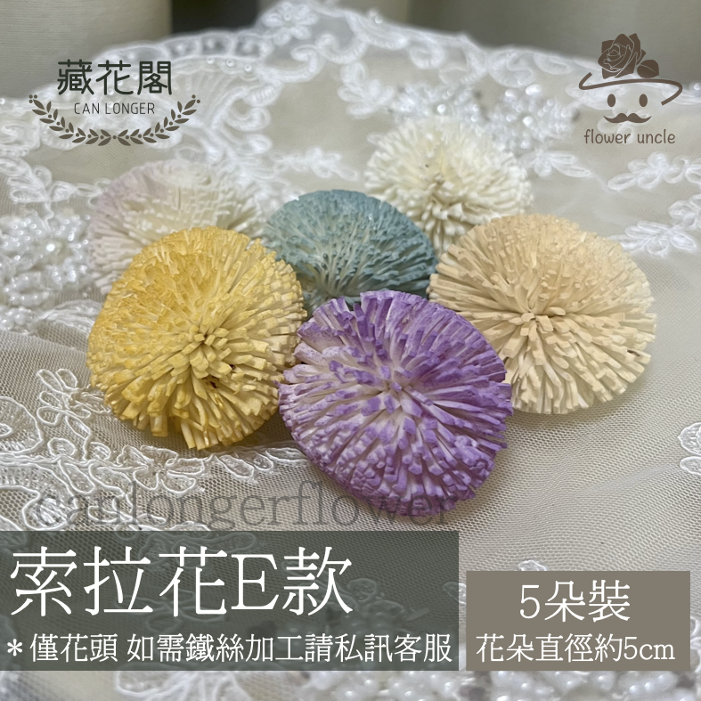 ✿ 台灣現貨 ✿ S-E 索拉花 5CM 通草花 擴香花 乒乓 乒乓球 乒乓菊 乒乓花型