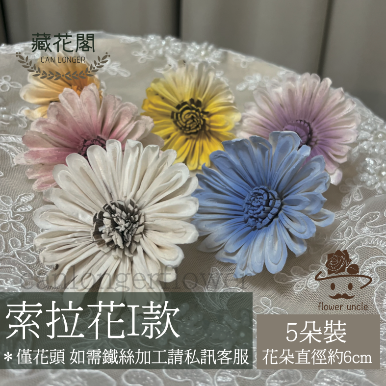 ✿ 台灣現貨 ✿ S-I 索拉花 6CM 通草花 擴香花 太陽菊 非洲太陽