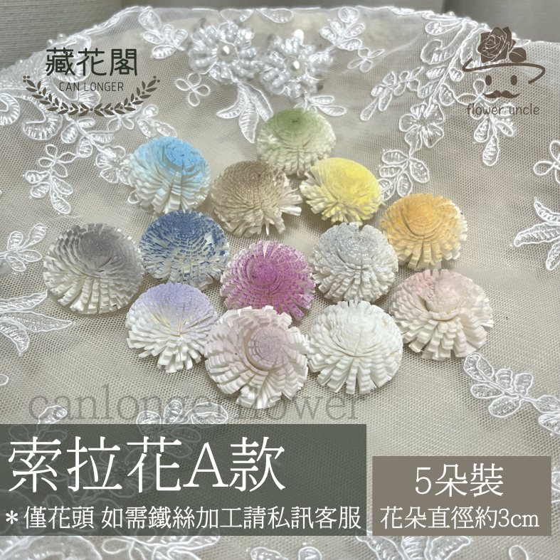 ✿ 台灣現貨 ✿ S-A 索拉花 3CM 通草花 擴香花 3CM 乒乓菊 小菊