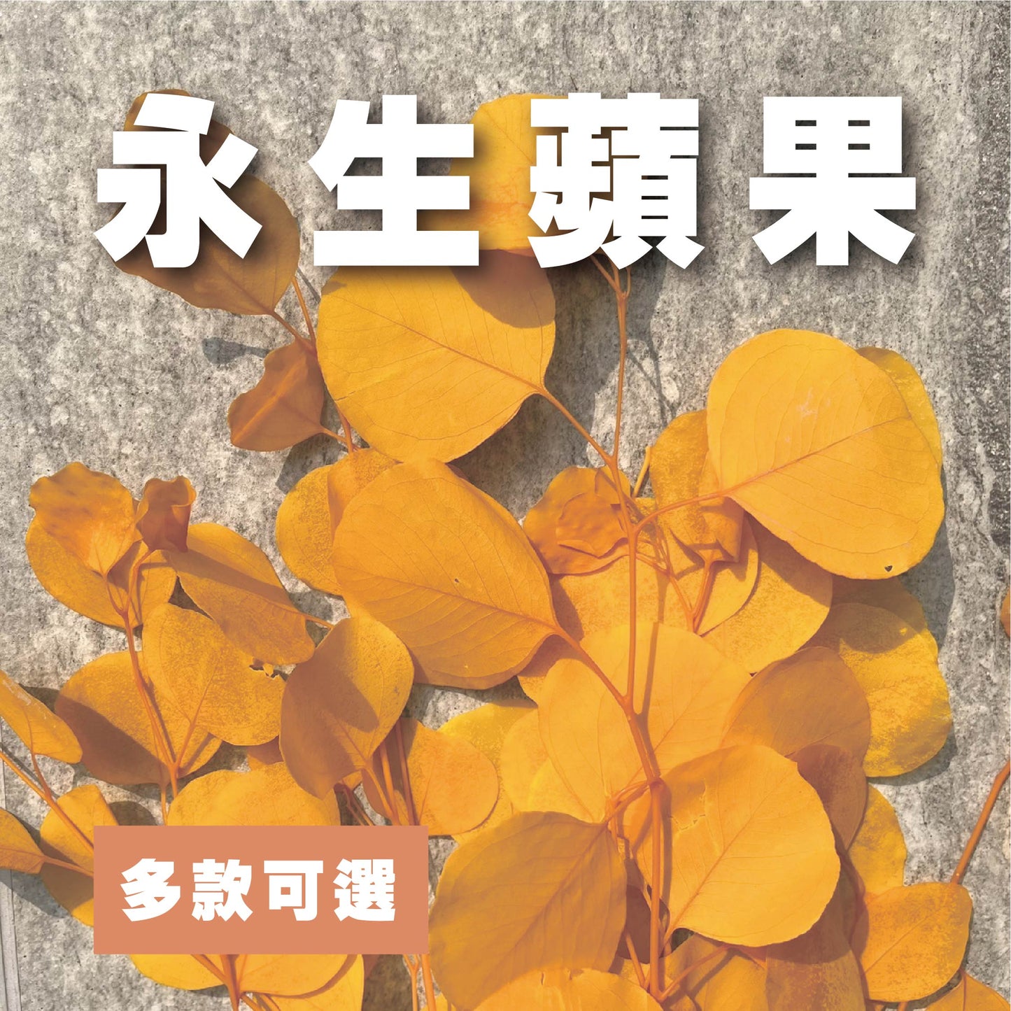 ✿ 台灣現貨 ✿ PL003 DL003 蘋果葉尤加利