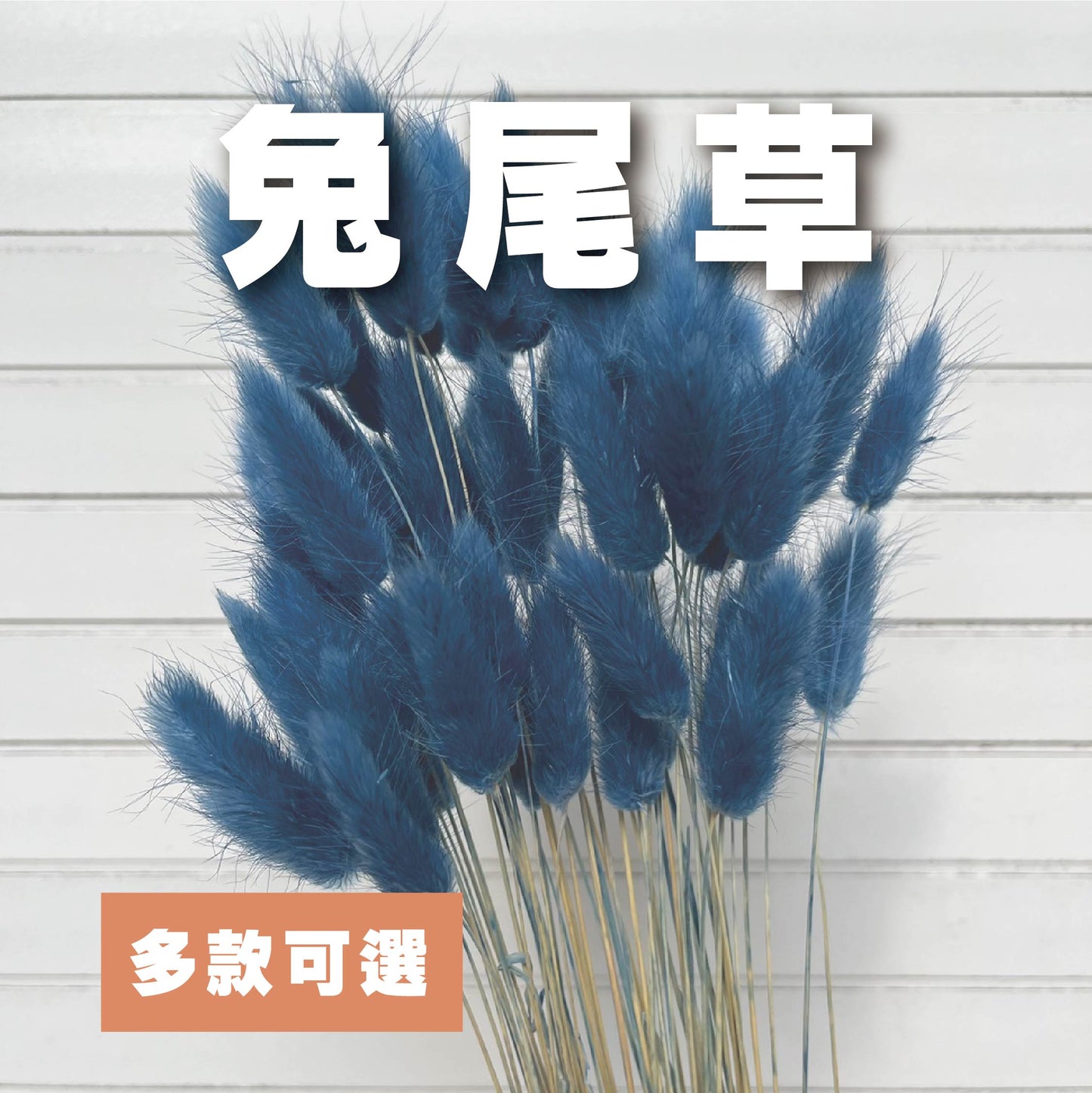 ✿ 台灣現貨 ✿ DA001s兔尾草 10支