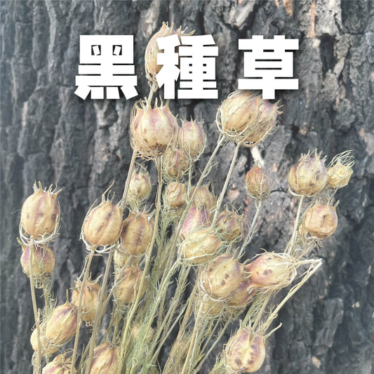 【台灣現貨】DA020黑種草 乾燥 原裝/小份量 花藝 DIY 插花 花束 室內佈置 網紅拍照