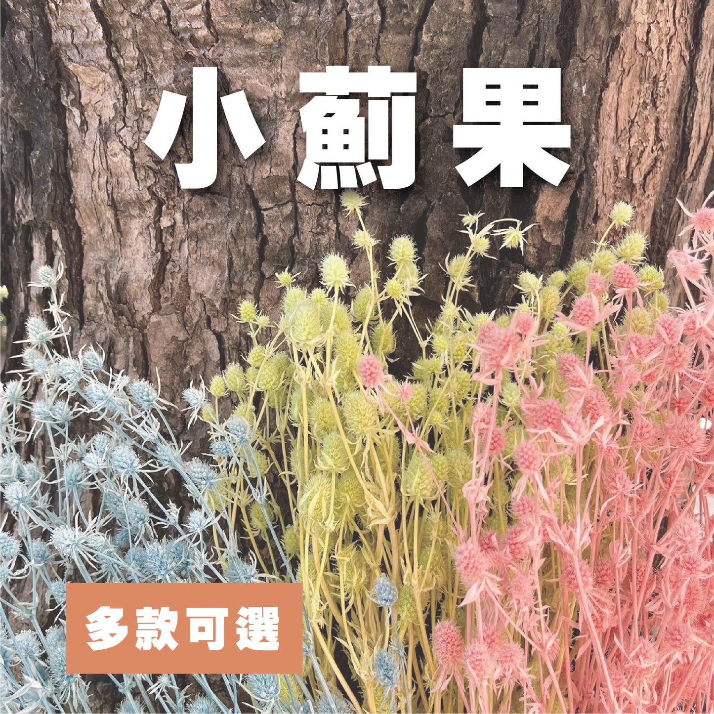 【台灣現貨】PA042小薊果 紫薊花 刺芹花 小薊花 永生 原裝/小份 拍攝拍照背景 捧花 婚禮小物 居家佈置 裝飾