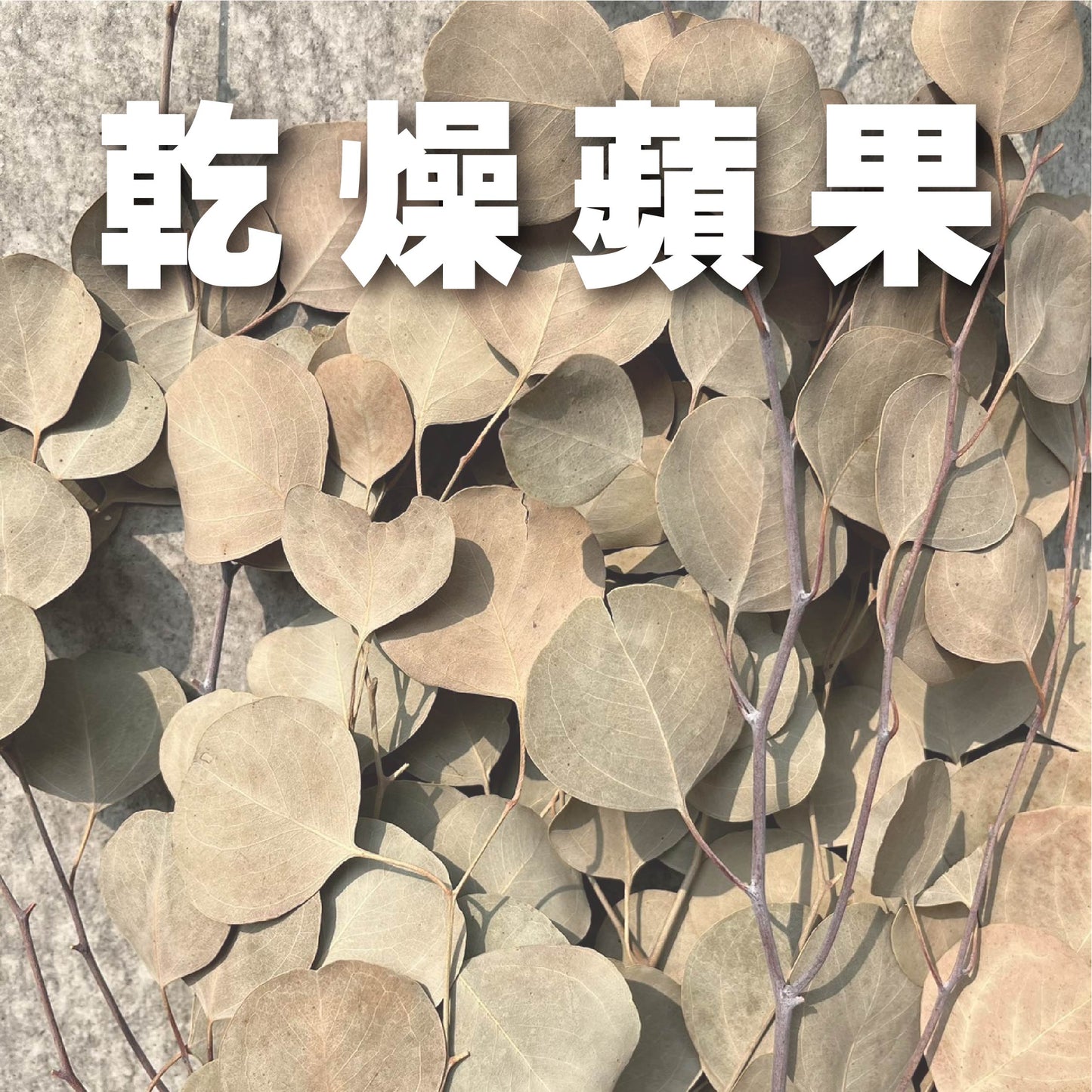 ✿ 台灣現貨 ✿ PL003 DL003 蘋果葉尤加利