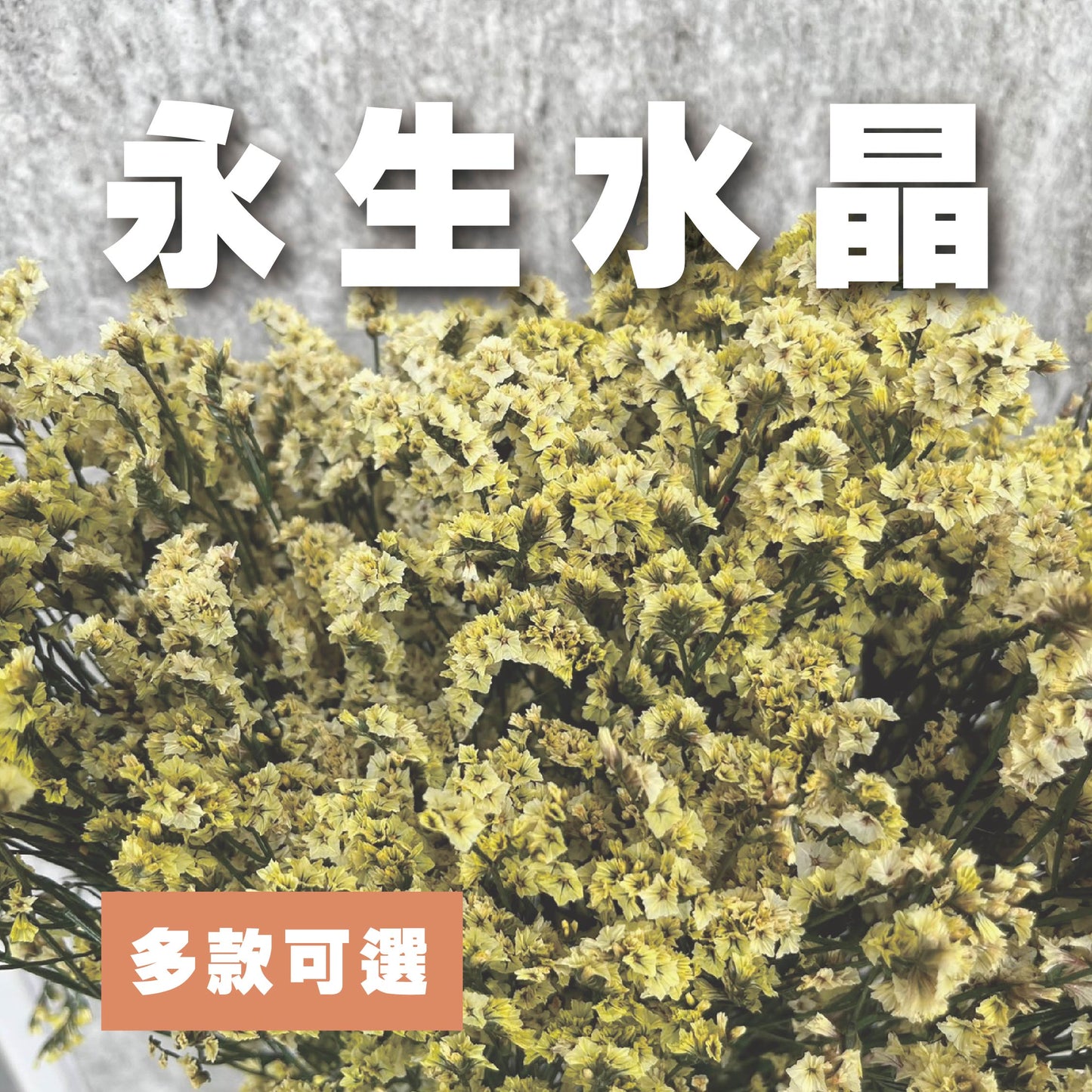 【台灣現貨】PF008水晶花 水晶草 原裝/小份量 滿5把送隨機贈品 居家裝飾花材 手作 花藝設計 居家佈置 攝影