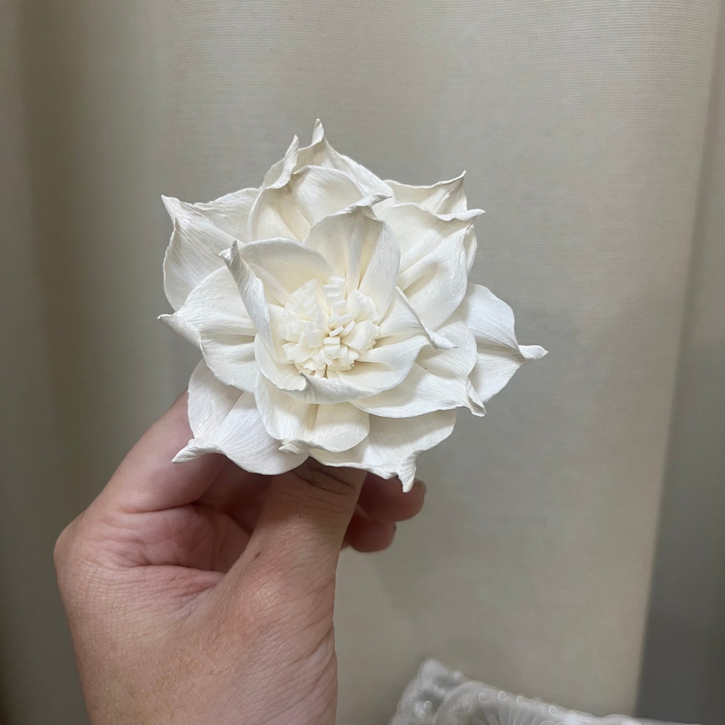 ✿ 台灣現貨 ✿ S-U 索拉花 6CM 通草花 擴香花