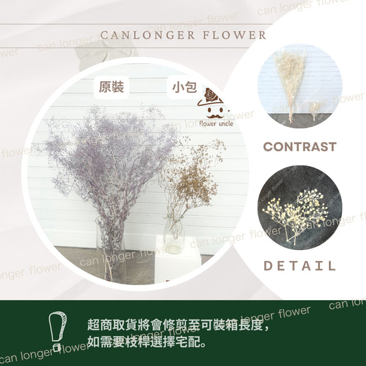 ✿ 台灣現貨 ✿ Pf003S 迷你滿天星