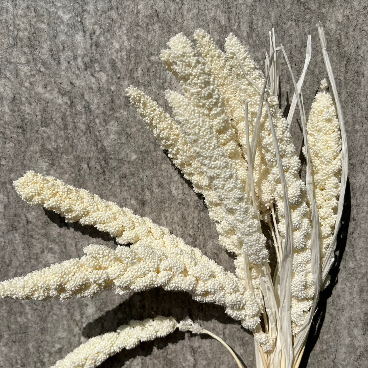 【台灣現貨】PA010米穗 粟米穗 小米穗 紅米穗 黃米穗 原裝/小份 居家裝飾花材 手作花材 花藝設計 居家佈置