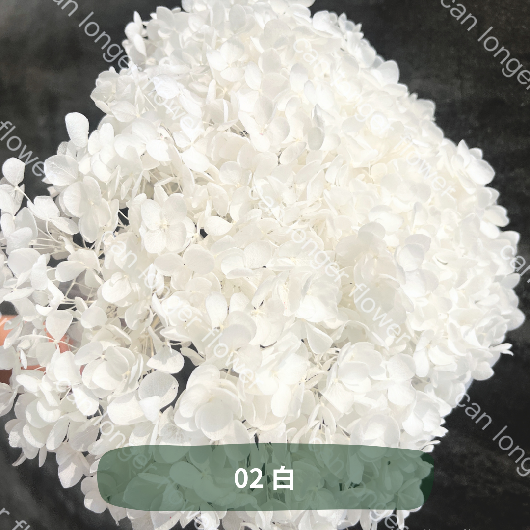 ✿ 台灣現貨 ✿ PF005 安娜繡球 單支 繡球花 繡球 紫陽花