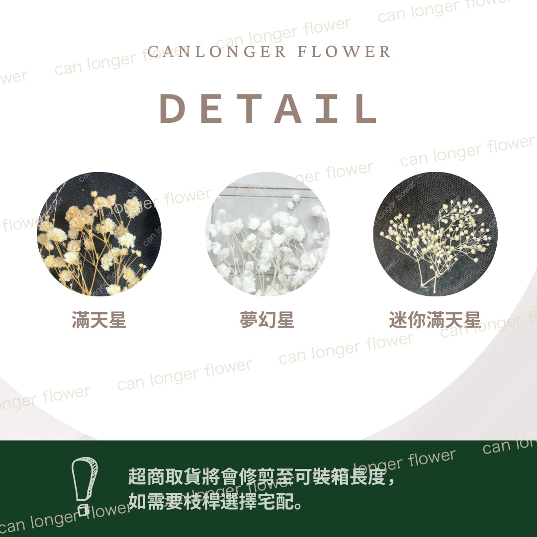 ✿ 台灣現貨 ✿ PF002 夢幻星