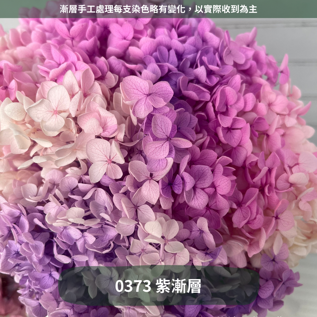 ✿ 台灣現貨 ✿ PF005 安娜繡球 單支 繡球花 繡球 紫陽花