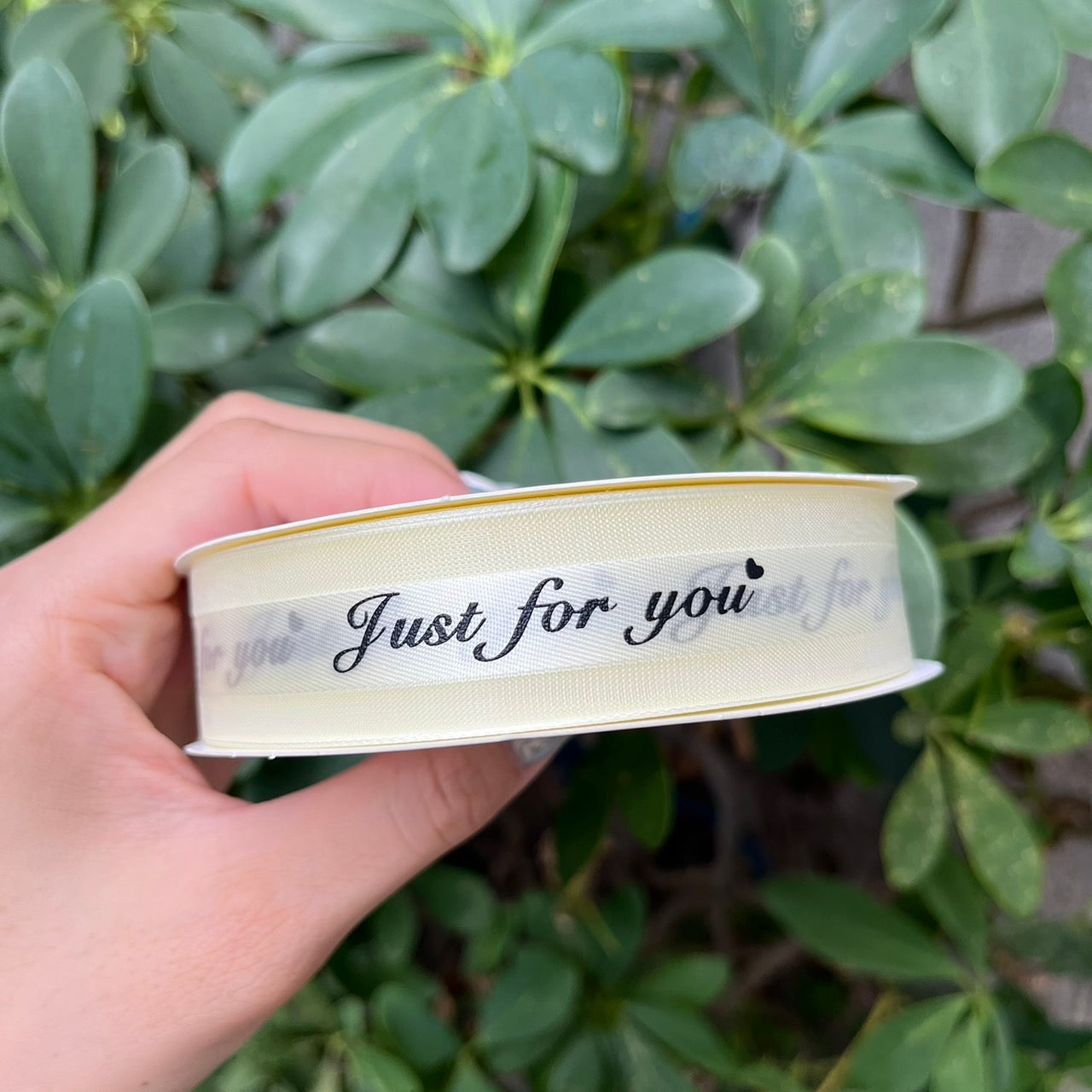 EP216緞帶(just for you)2.5cm