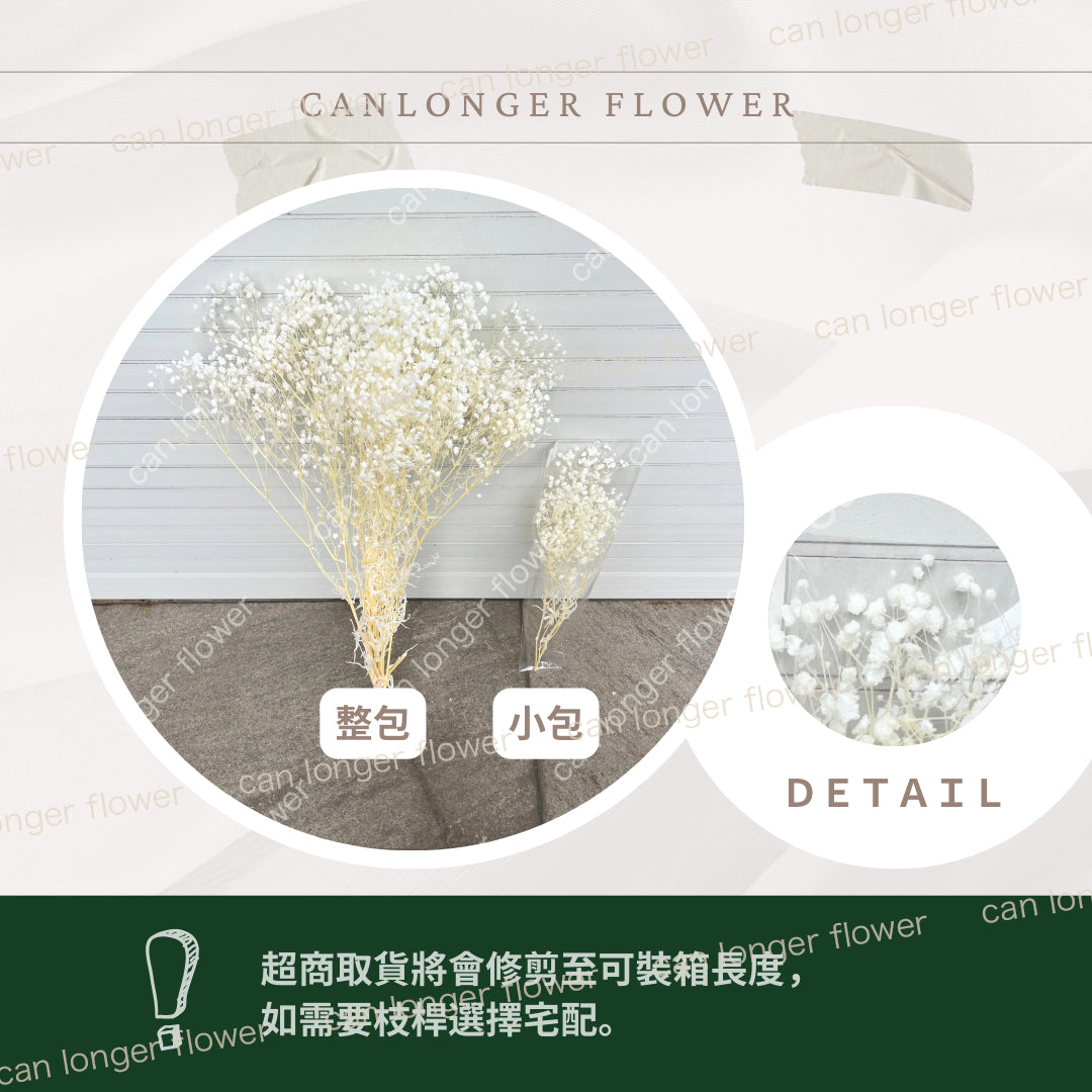 ✿ 台灣現貨 ✿ PF002 夢幻星