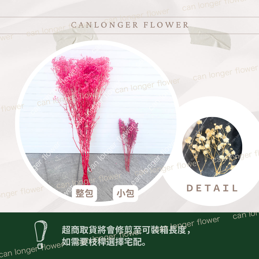 ✿ 台灣現貨 ✿ pf001 滿天星