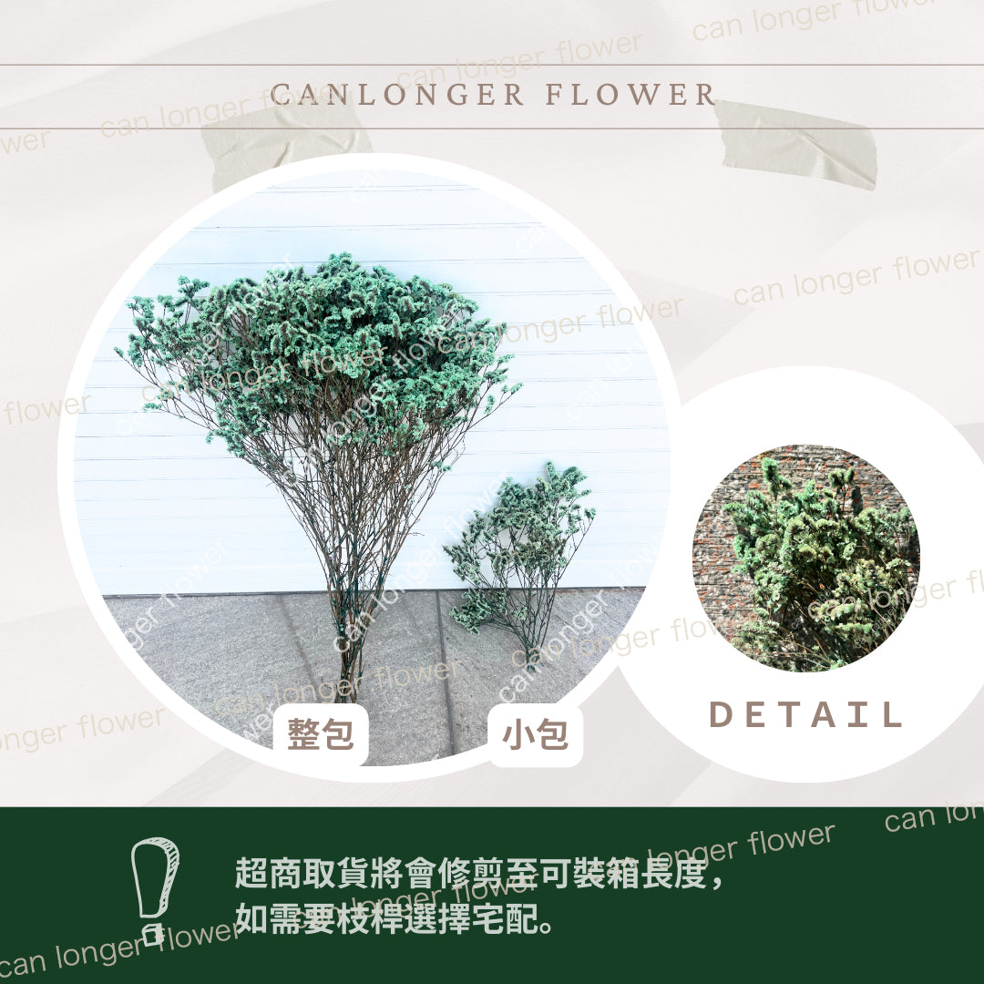 ✿ 台灣現貨 ✿ PF008水晶花 原裝