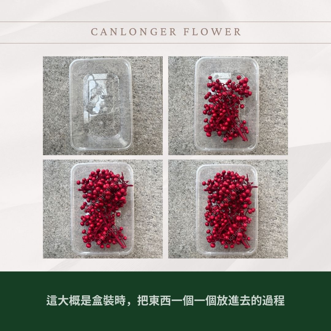 DS008s 小份量紅果 約40克 聖誕節花材