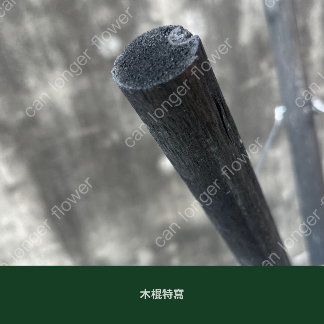 EM077 開業花籃三腳架 1.2米