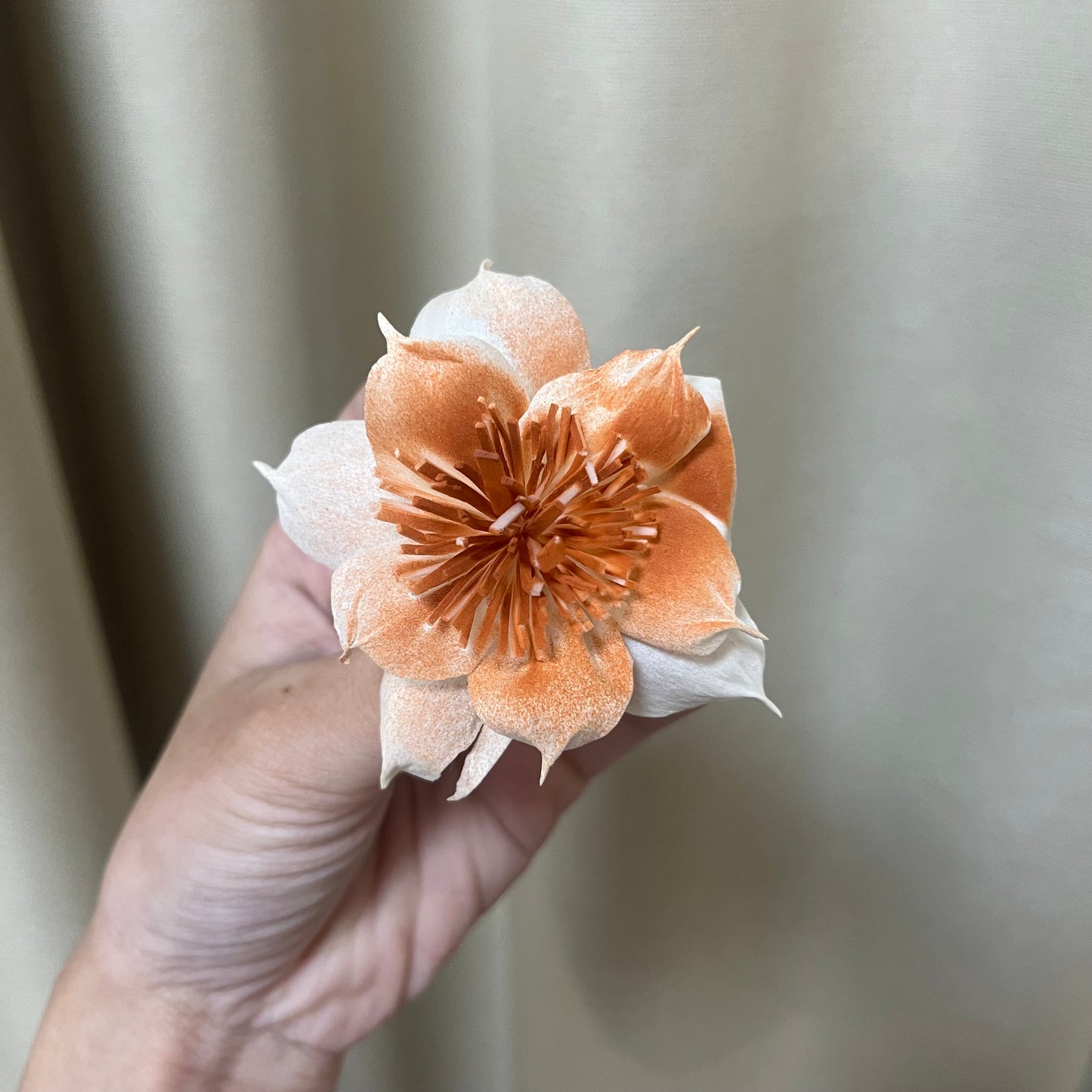 ✿ 台灣現貨 ✿ S-AC 索拉花 6CM 通草花 擴香花 水仙花