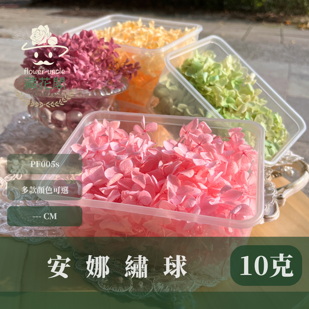 PF005-S 安娜繡球(約10克）盒裝 繡球 紫陽花 台灣現貨