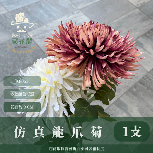 AF053 仿真龍爪菊(1頭) 仿真花 台灣現貨